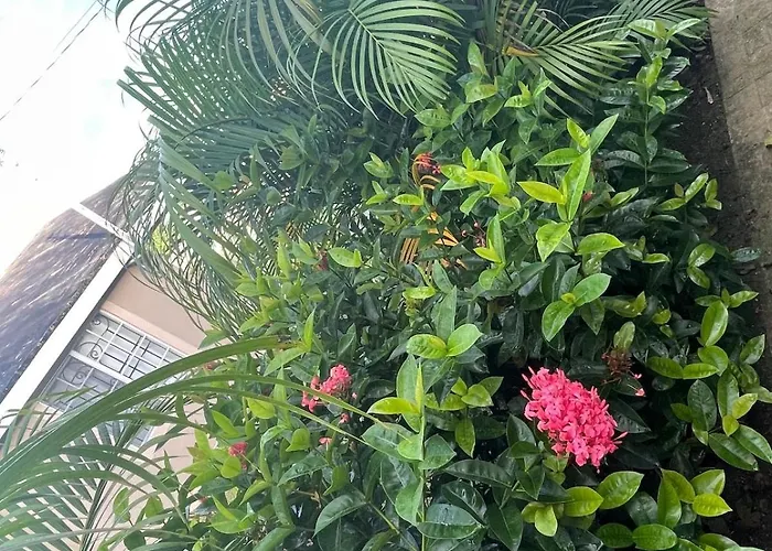 Symone Palms Retreat Montego Bay