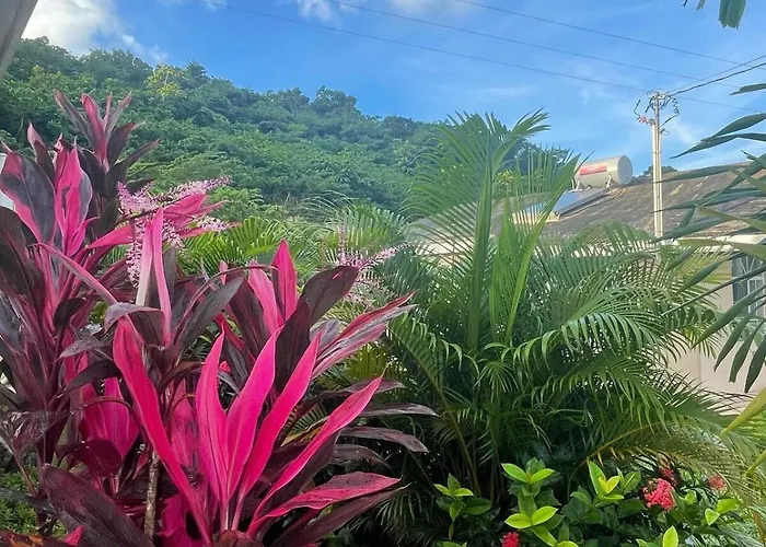 Symone Palms Retreat *